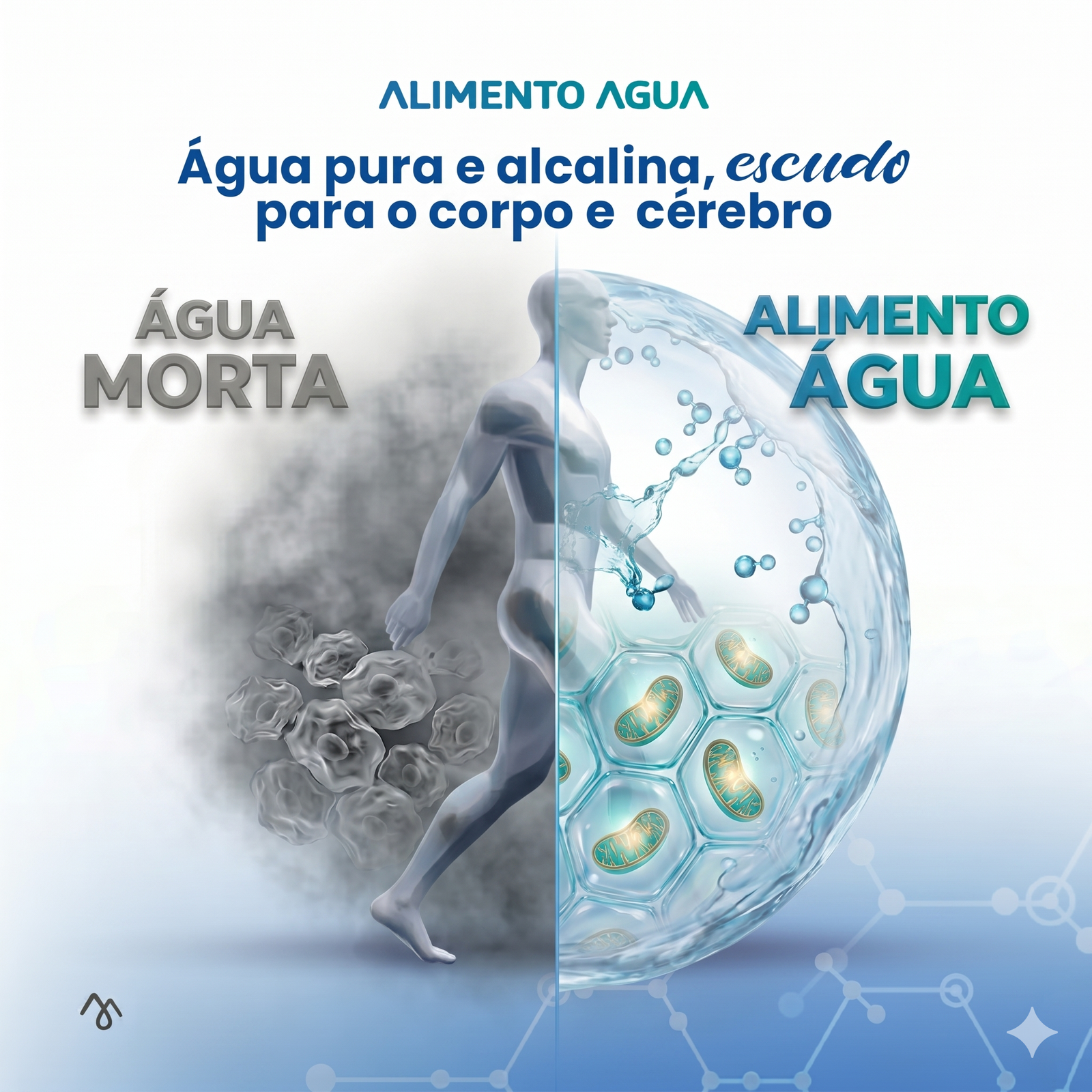 Contraste Celular Alimento Água vs Água Morta
